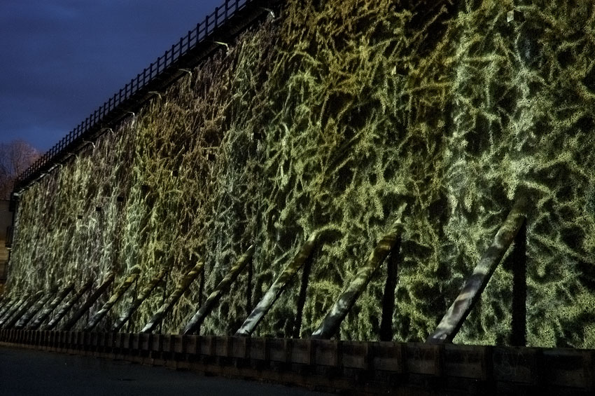 Projektionsbiennale in Bad Rothenfelde 2013