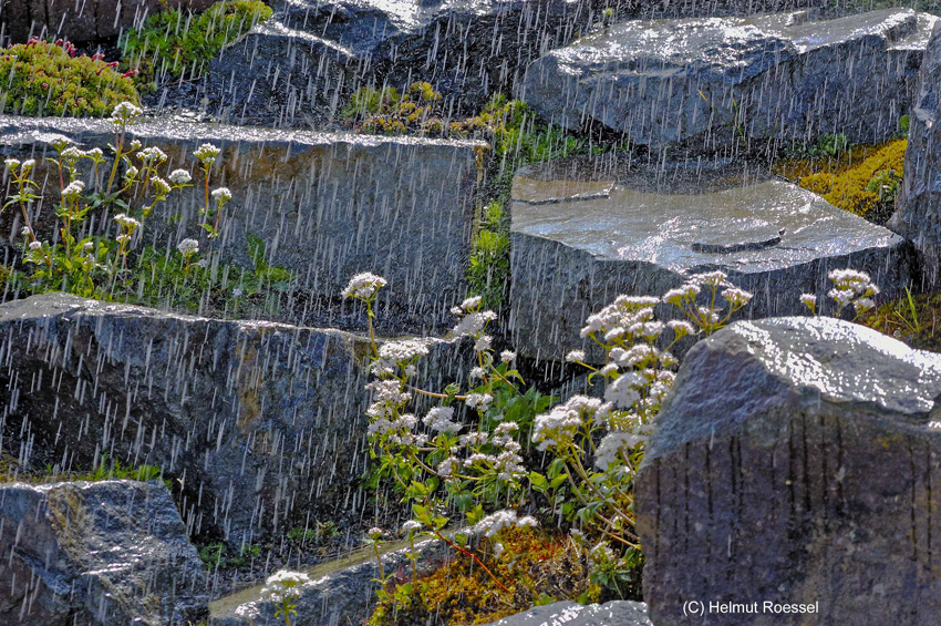 Fr&uuml;hlingsschauer