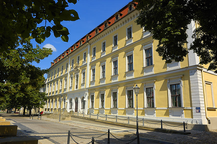 Am Magdeburger Domplatz