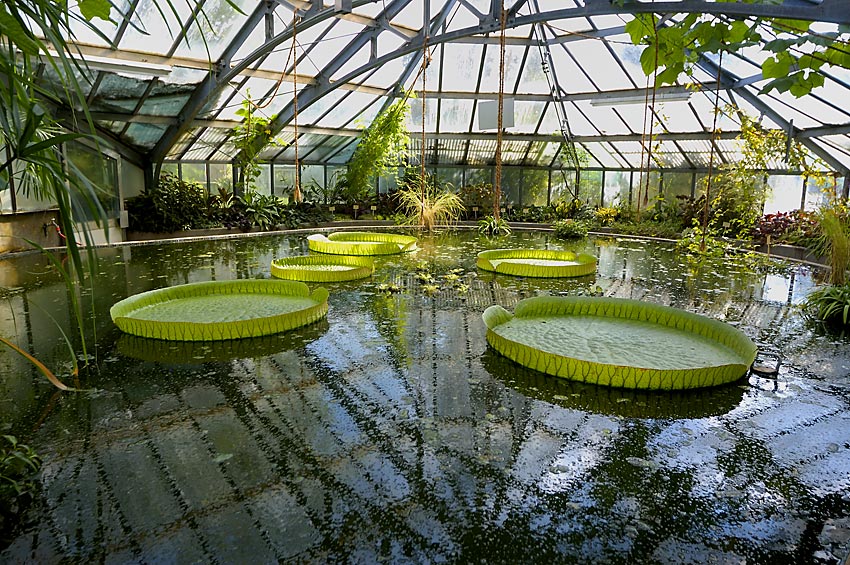 Gruson-Gewächshäuser