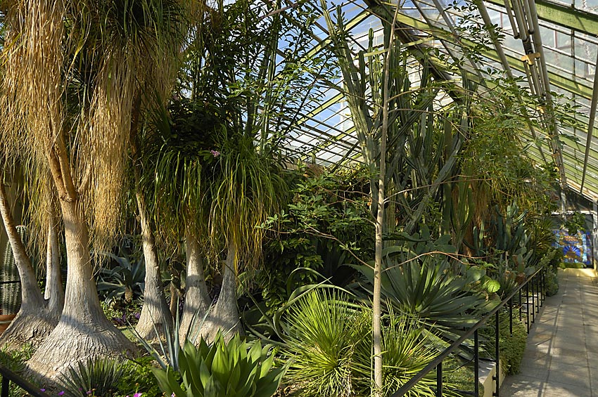 Gruson-Gewächshäuser