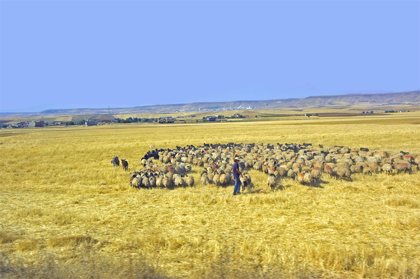 Landschaft bei Batman