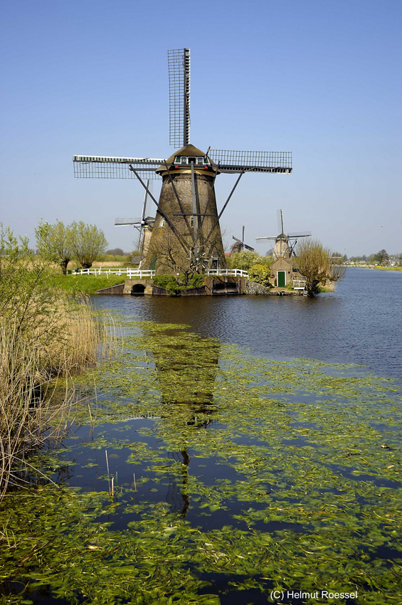 Kinderdijk