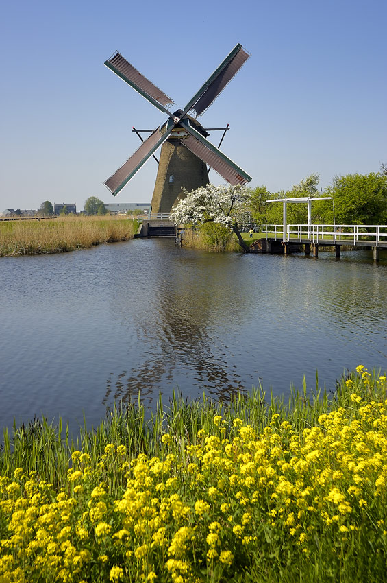 Kokerwindmühle in Kinderdijk