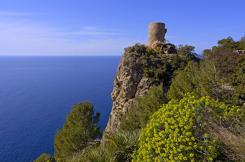 Torre des Verger