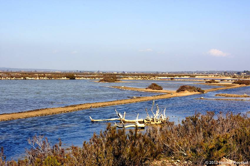 Salinas de Levante