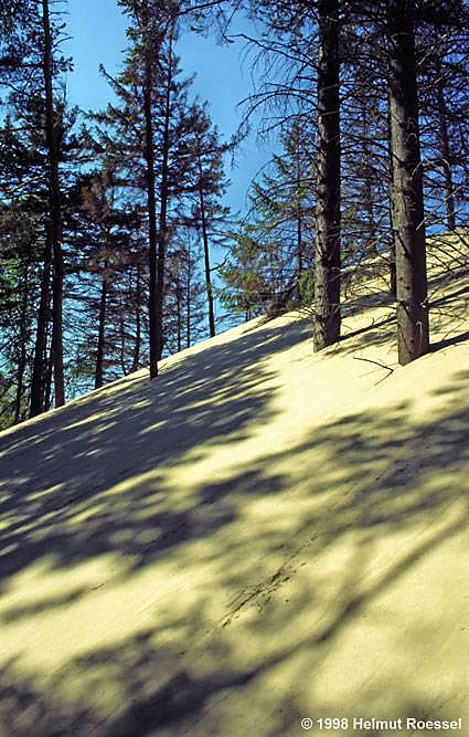 Im Slowinzischen Nationalpark